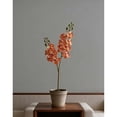 thumbnail image 1 of Tallos de mini orquídeas artificiales | Ramas de Phalaenopsis artificiales | Flores artificiales táctiles para ramos de flores, decoración del hogar, centros de mesa para bodas y fiestas., 1 of 5