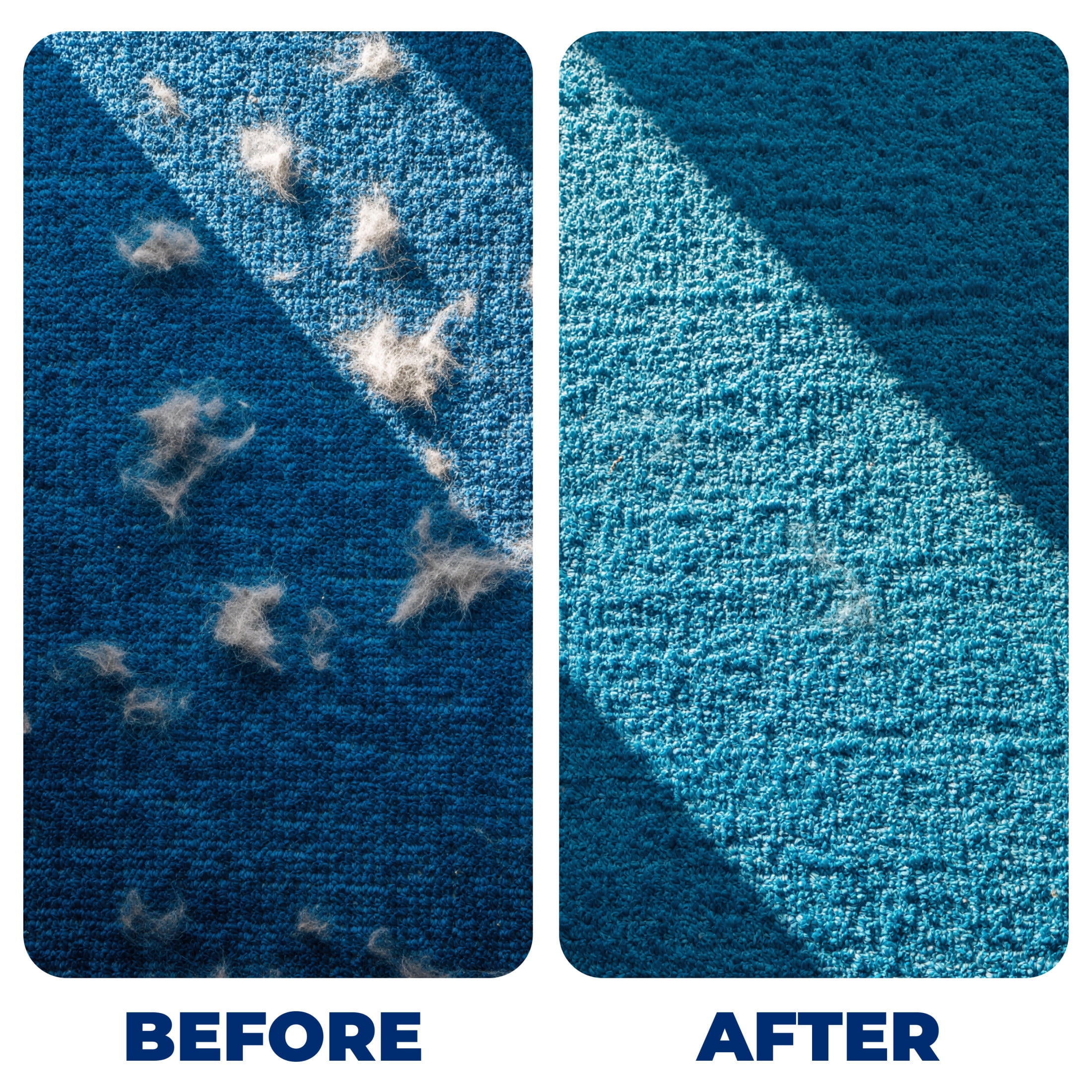 ARM & HAMMER Pet Fresh Plus Hair Release Carpet Protector, Odor Eliminating Carpet Powder, 42.6 oz