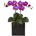 thumbnail image 2 of Double Mini Phalaenopsis in Black Vase, 2 of 2