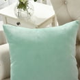 thumbnail image 4 of Home Soft Things Milliken Plush Throw Pillow Covers 2 Piece Set - Agate - 20" x 20", 4 of 4