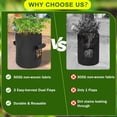 thumbnail image 4 of Potato Grow Bags, 2-Pack 15-Gallon Grow Bags with 2 Flaps and Reinforced Handles, Heavy-Duty Thickened 500G Aeration Fabric Pots for Potatoes, Tomatoes, Flowers, and Vegetables, 4 of 4