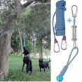 thumbnail image 1 of Dog Spring Pole Toys Set Outdoor Hanging Exercise Cotton Rope Dog Teething Toy, 1 of 2