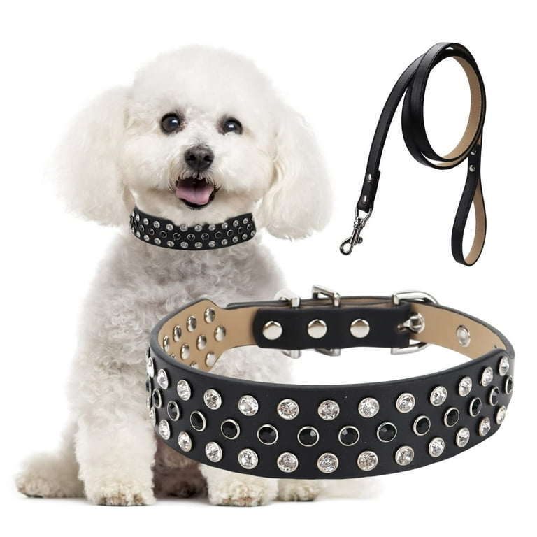 Discover our range of cutest dog collars and leashes for your beloved pet