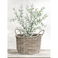 thumbnail image 2 of Jacobs, Cindy 12x14 White Modern Wood Framed Museum Art Print Titled - Eucalyptus Basket, 2 of 4