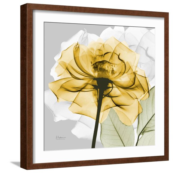 Art.com Rose in Gold 4 Art Print by Albert Koetsier, Brown Frame Wall Art, 21" x 21"