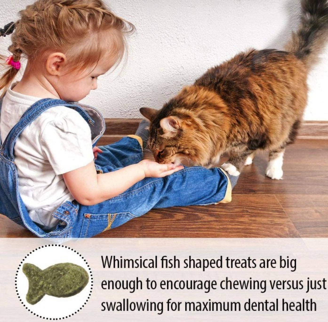 6 Pack Emerald Pet Feline Dental Treats Ocean Fish Flavor [Cat Dental Treats, Bulk Cat Supplies, Emerald Pet] 18 oz (6 x 3 oz)