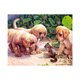 thumbnail image 1 of 5D DIY elefante / perro / tigre / pájaro patrón diamante pintura redonda resina cristal bordado imagen hogar decorativo punto de cruz AweSitey JJ15624-02, 1 of 6