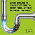 thumbnail image 4 of Nature’s Dome Drain Fly Killer Gel – 1 Gallon – Kills & Prevents Drain Flies, Fruit Flies & Sewer Flies – Natural Plant-Based Treatment for Sinks, Pipes & Drains – Safe for Septic Systems, 4 of 5