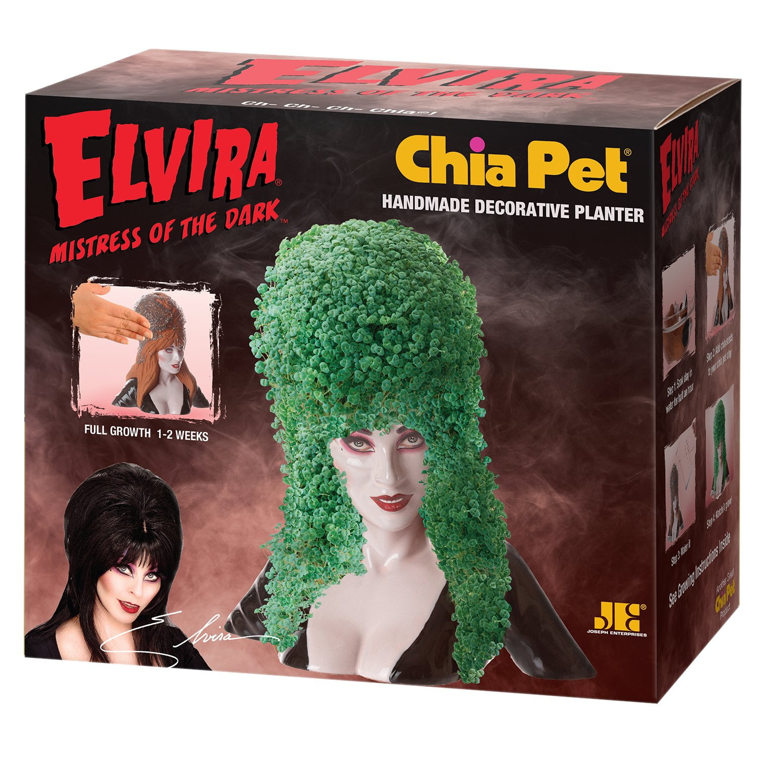 Decorative Pottery Planter Perfect for Any Occasion Novelty Gift Easy to Do and Fun to Grow Chia Pet Elvira with Seed Pack 