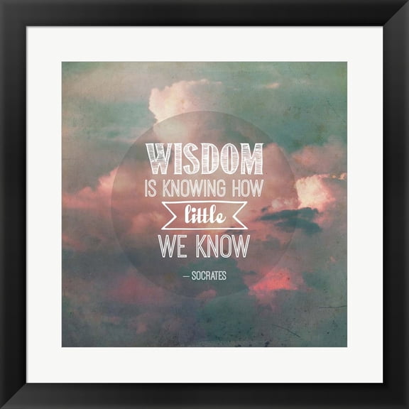 Wisdom is Knowing How Little We Know - Pink Clouds by Quote Master, Framed Wall Art, 19.5W x 19.5H
