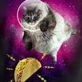 thumbnail image 5 of Hanes Men's Funny Humor Sarcastic Cat on a Taco Quest Graphic Tee Shirt, 5 of 8