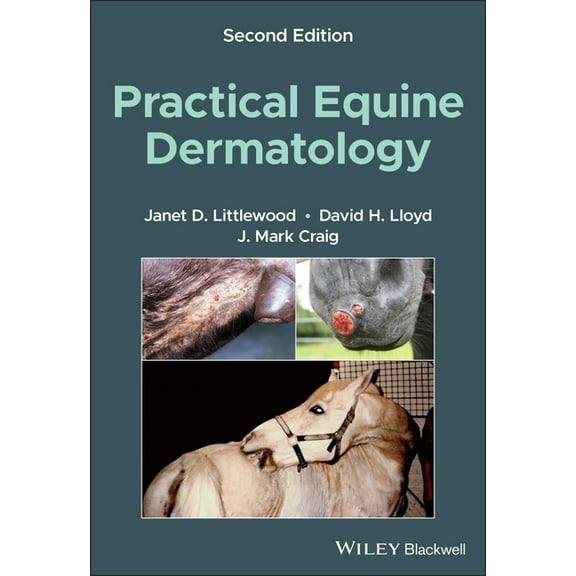 Practical Equine Dermatology (Paperback)