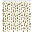 thumbnail image 3 of Ambesonne Cactus Shower Curtain, Garden Plants Succulents, 69"Wx75"L, Multicolor, 3 of 3