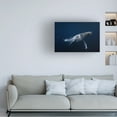 thumbnail image 3 of Barathieu Gabriel 'Humpback Whale In Blue' Canvas Art, 3 of 3