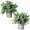 A Green, variant on Set of 2 Faux Mini Potted Plants Artificial Eucalyptus Boxwood Plants in Pots Fake Greenery Arrangement for Rustic Farmhouse Indoor Table Centerpiece Mantel Shelf Kitchen Office Desk Decor A