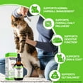 thumbnail image 4 of Oimmal Hairball Treatment for Cats - 60ml Cat Hairball Remedy Drops with Probiotics & Vitamins - Kitten Furball Treatment - Supports Digestion - Chicken Flavor, 4 of 11
