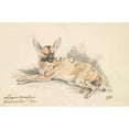 thumbnail image 2 of Charles Hamilton Smith 14x11 Black Ornate Wood Framed Double Matted Museum Art Print Titled: African Wild Dog (1837), 2 of 5