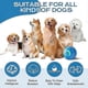 thumbnail image 3 of Vibrating Dog Ball, Moving Dog Ball, USB Rechargeable Shaky Ball Toy for Dogs, Interactive Dog Bouncing Ball, Automatic Moving Dog Toy Ball 26-27s, 3 of 5