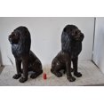 thumbnail image 4 of A Pair of Large Lions Sitting Side by Side Bronze Statues Size: 23" x 33" x 46"H, 4 of 10