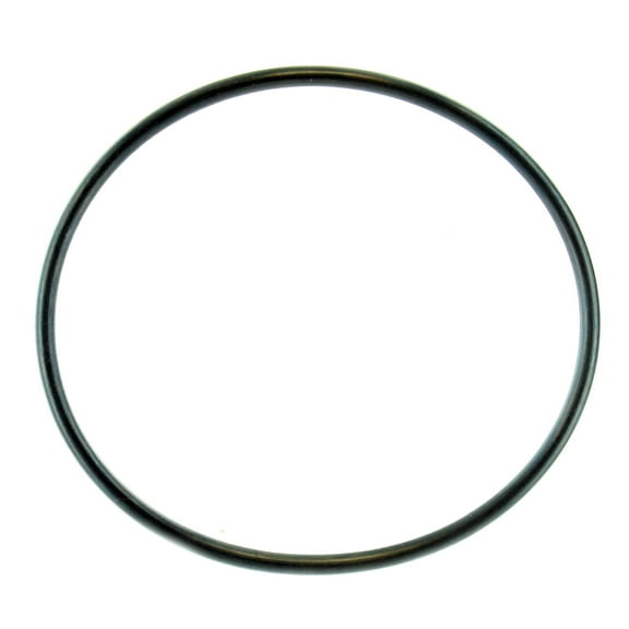Sea-Doo New OEM, O-Ring, Challenger SP Speedster, 420230920 420230923