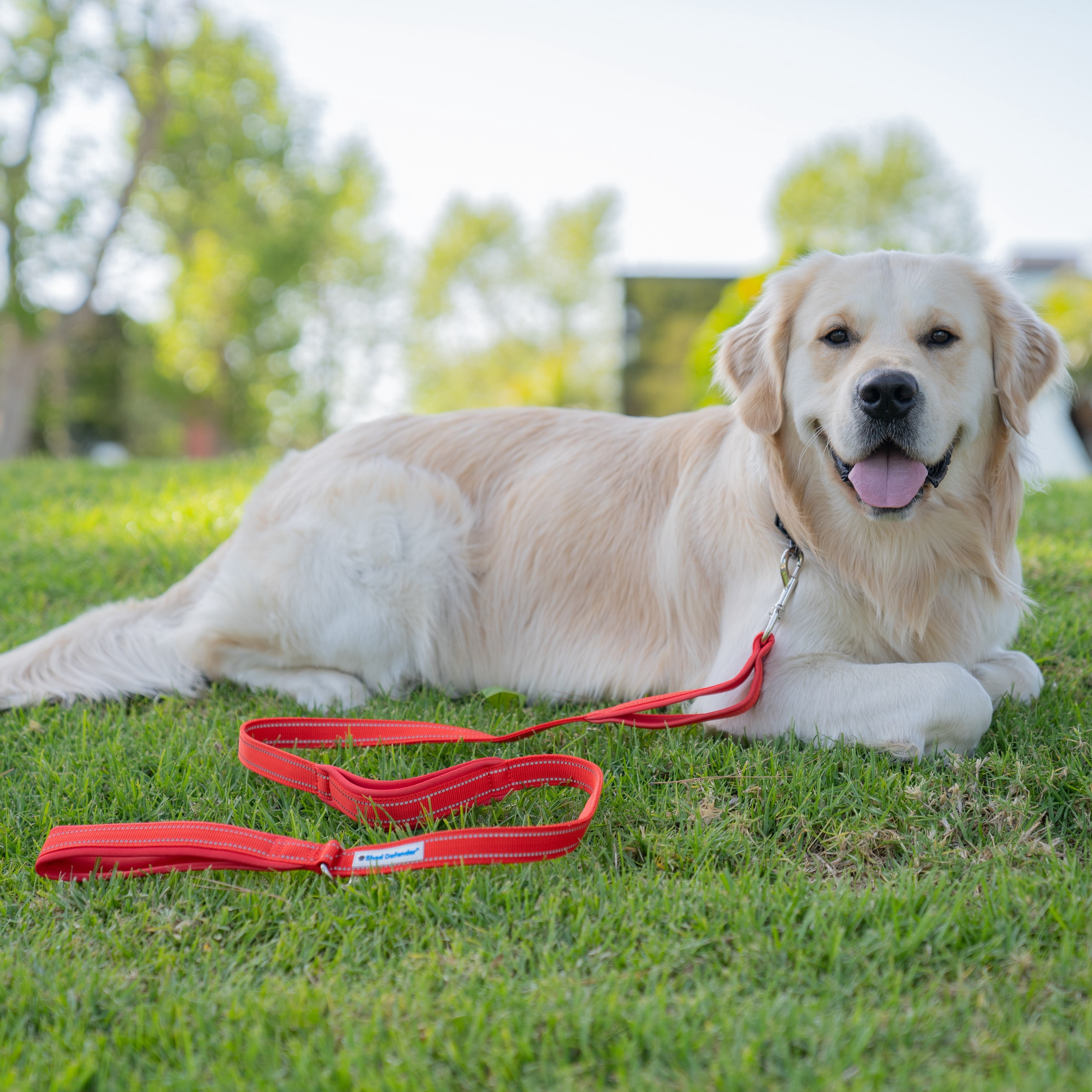 Shed Defender 5 ft. Leash - Three Padded Handles - Dual Layered Thickness for Extra Strength - Reflective Stitching 5 ft. for Large & Small Dogs - Training Lead