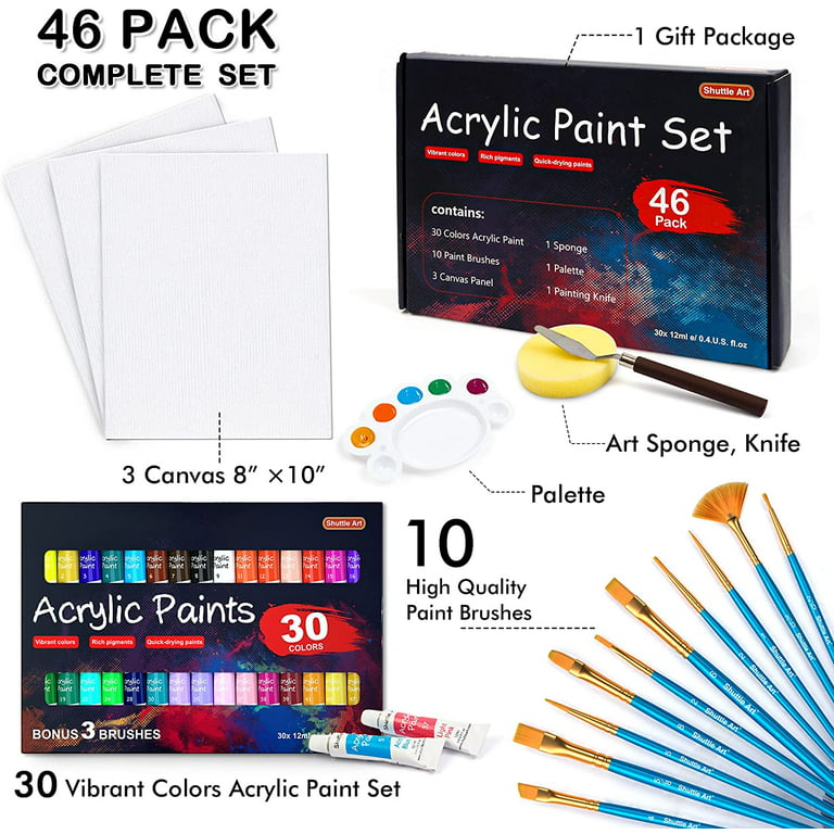 Arteza ARTEZA Acrylic Paint, Set 14 Colors/Pouches (120 ml/4.06 oz.) and  8x10 Stretched White Blank Canvas, Bulk (Pack of 12)