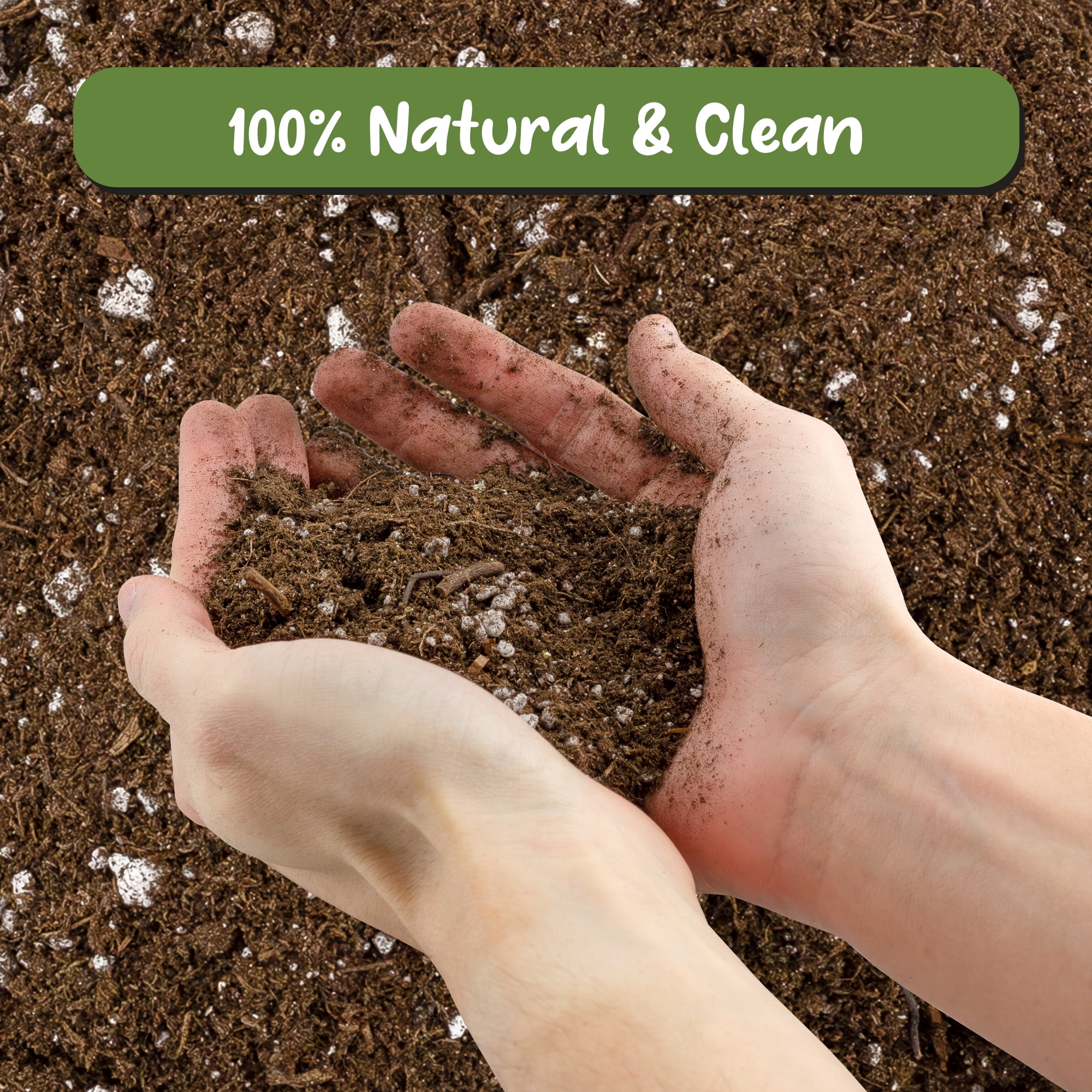 Avocado Tree Potting Soil Mix (12 Quarts), for Germinating, Growing and Repotting Avocado Plants