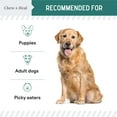 thumbnail image 3 of Chew + Heal 12-in-1 Multivitamin for Dogs - 60 Puppy and Senior Dog Soft Chews for Hip and Joint, 3 of 9