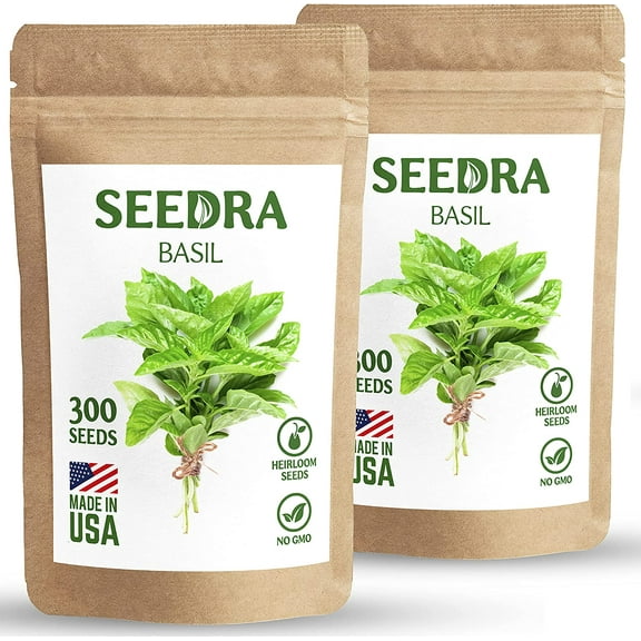 SEEDRA.US 600 Italian Large Leaf Basil Seeds for Indoor, Outdoor and Hydroponic Planting, Non GMO Heirloom Seeds for Home Garden - 2 Pack