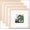 Oak Wood, variant on 8x8 Picture Frames Made of Solid Wood with Plexiglass, Display Pictures 4x4/6x6 with Mat or 8x8 Without Mat Set of 4 for Tabletop and Wall Mounting, Oak Wood