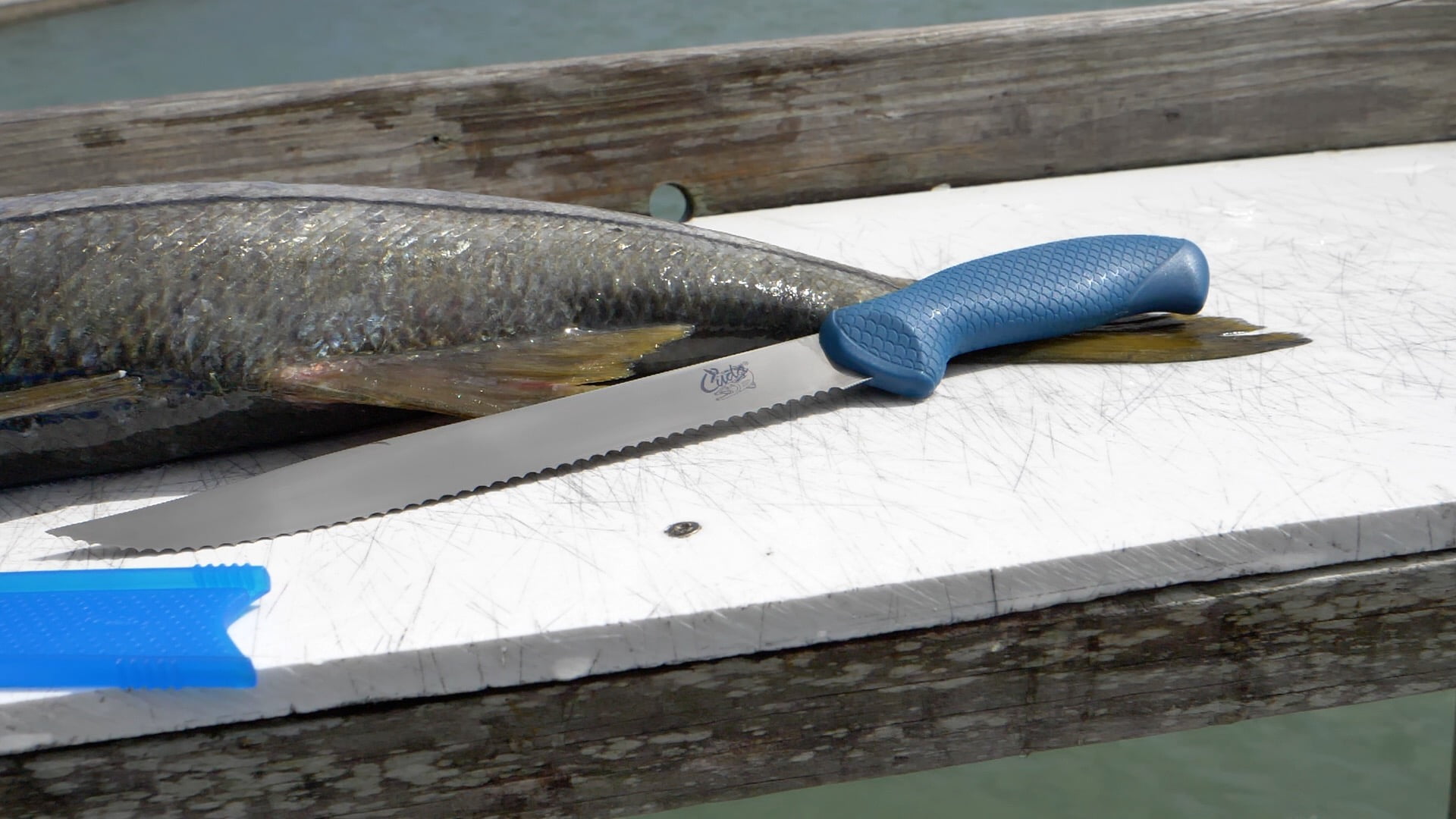 Cuda AquaTuff Carbide Edge 9" Serrated Utility Knife with Blade Cover for Fish