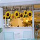 thumbnail image 5 of Cortina de ventana de girasol para cocina/living room, 5 of 6