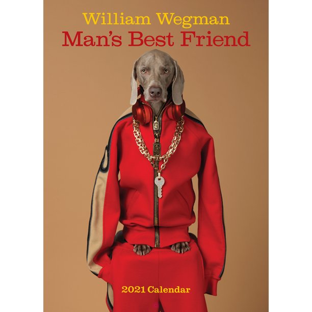 William Wegman Man's Best Friend 2021 Wall Calendar