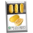 thumbnail image 2 of Isla's Garden Seeds 25 Spaghetti Winter Squash Plant Seeds, Non-GMO, 2 of 5
