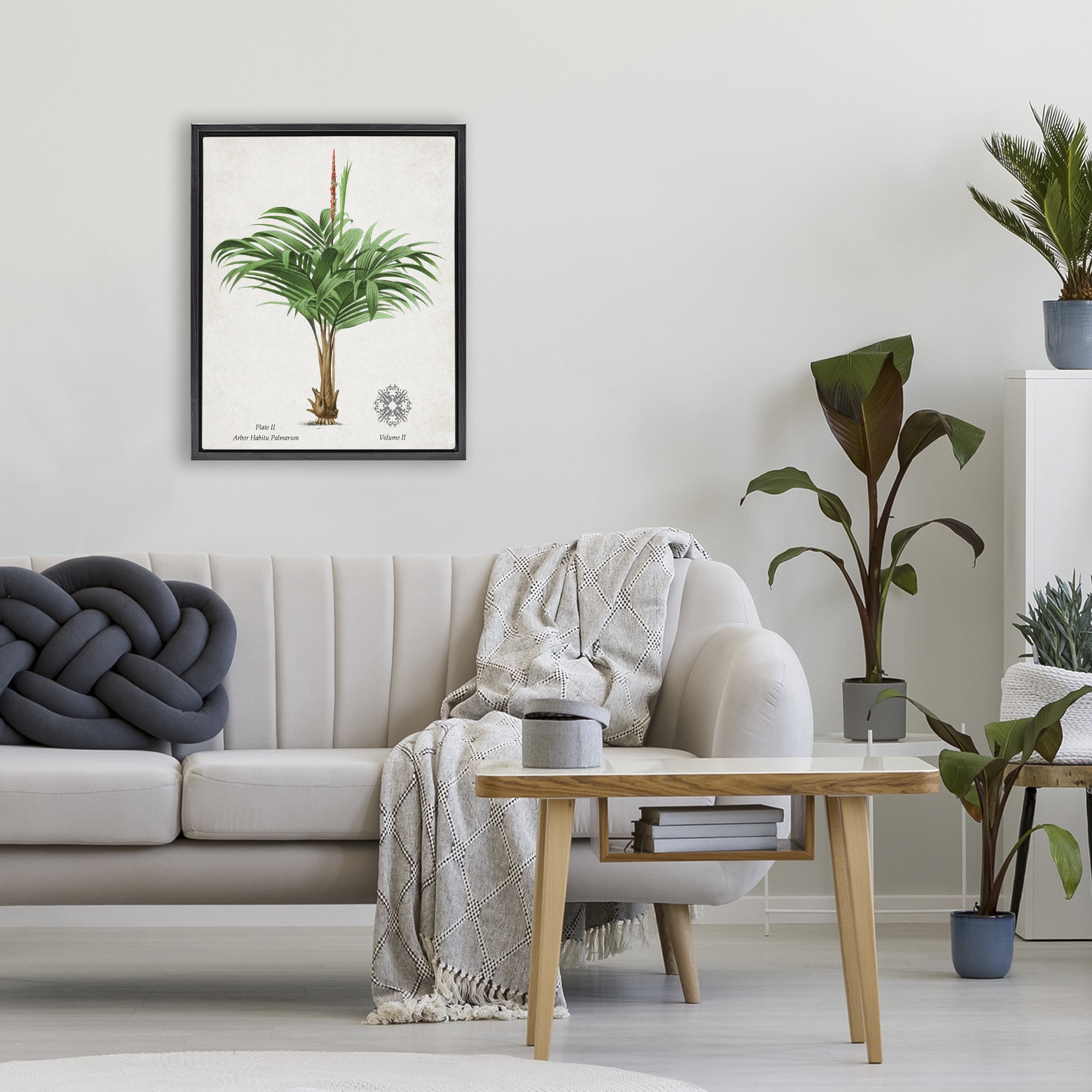 Stupell Industries Natural Palm Variety Study Black Framed Floater Canvas Wall Art, design by Val Rhodes