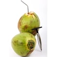 thumbnail image 6 of Ken's CocoMon Coconut Opener Tool + Stainless Straw for Fresh GREEN Young Fruit Black Rubber Handle EZ Easy Grip SAFE with Stainless Steel Drinking Straws, 6 of 9