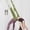 Green, variant on SIMDOO Adjustable Yoga Door Swing Strap, Anti-Gravity Inversion Leg Stretcher, Door Mount Flexibility Trainer for Yoga Dance Pilates Gymnastics