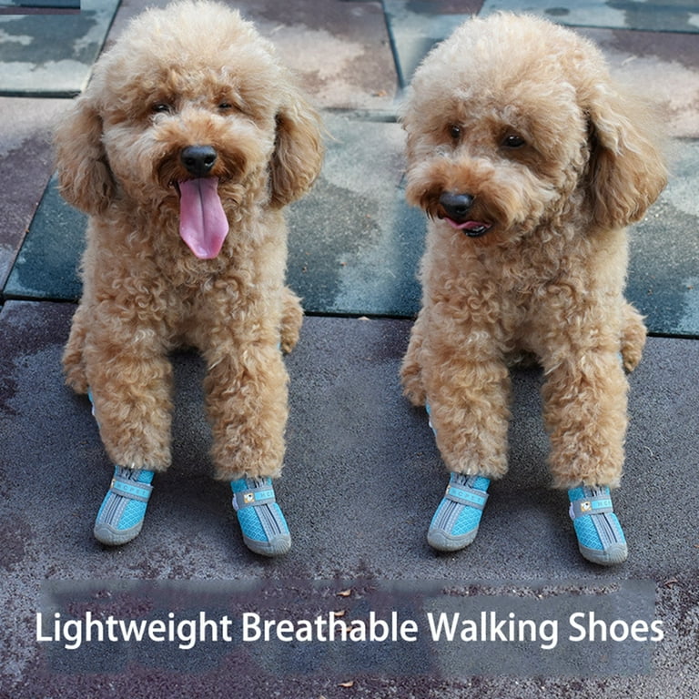 Dog shoes at clearance walmart