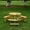 Natural, variant on Outdoor 6 Person Round Picnic Table With 3 Built-in Benches, Umbrella Hole, For Garden, Backyard, Porch, Patio, 2 Color