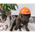 thumbnail image 3 of Divertido juguete para perros, casco protector, casco, gorro para perro con libélula de bambú, negro (M) Rojo Verde, 3 of 5