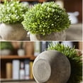 thumbnail image 5 of 3 juegos de plantas artificiales de interior (césped verde en maceta gris), pequeñas plantas decorativas de plástico sintético (adecuadas para el hogar, la cocina y la decoración de exteriores) ER, 5 of 5