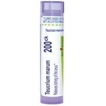 Boiron Teucrium Marum 200CK, Homeopathic Medicine for Itching Of The Anus, 80 Pellets