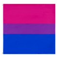 thumbnail image 1 of Deporte Homosexual Bisexual LGBT Gay Pride Rainbow Flag Decoración colgante (HOTB02B), 1 of 2