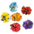 thumbnail image 1 of Pinzas para el cabello con tema de isla de flores surtidos de color Hibiscus para chica Hula (paquete de 12) Afortunado Sencillez, 1 of 4