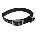 thumbnail image 1 of Collar de perro de lujo de nailon de doble grosor, 1 of 5