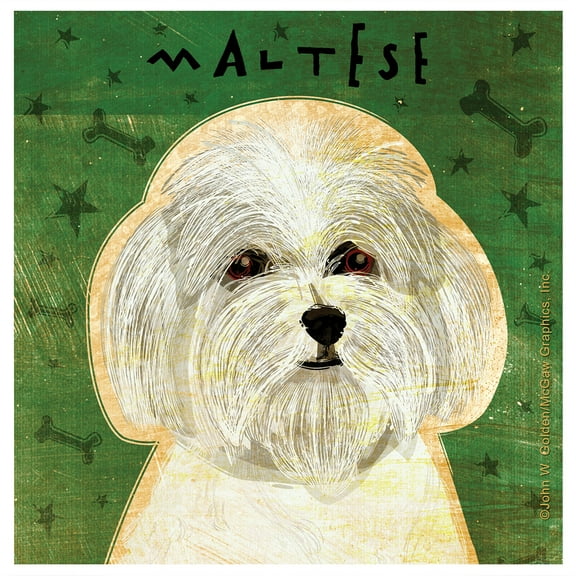 Thirstystone Occasions Drink Coasters, Set, Maltese