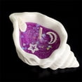 thumbnail image 4 of Aromatherapy Candle, European Jar Shape, Jasmine Oolong Scent, Seashell & Sea Star Decor, 1 Candle, Wax Home Fragrance for Living Room, 4 of 6