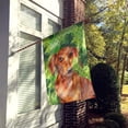 thumbnail image 2 of Carolines Treasures BB9881CHF Drapeau Rouge Dachshund Saint Patricks en Toile - Taille Maison, 2 of 4