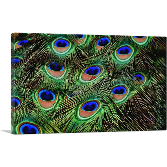 ARTCANVAS Peacock Feathers Home decor Canvas Art Print - Size: 26" x 18" (0.75" Deep)