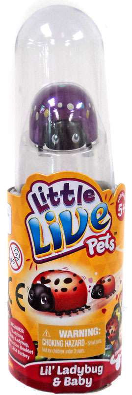little live pets ladybug special